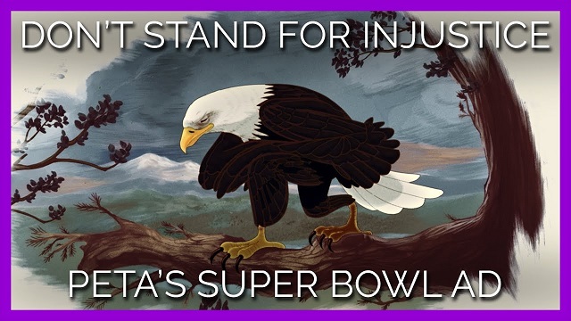 peta超级碗广告被指有意将物种歧视与种族歧视联系起来