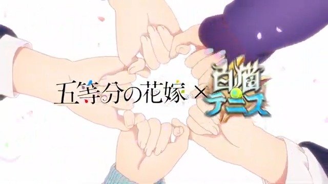 白猫网球x 五等分的花嫁联动pv 手机新浪网 白猫网球x 五等分的花嫁联动pv 手机新浪网