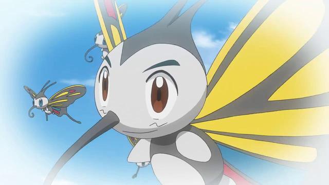 原来他们是为了调查狩猎凤蝶的迁徙,在询问了乔伊小姐之后智爷的这一