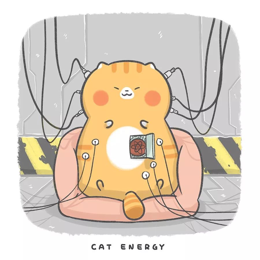 软萌大橘vs超硬核半解构这只橘猫帅炸了