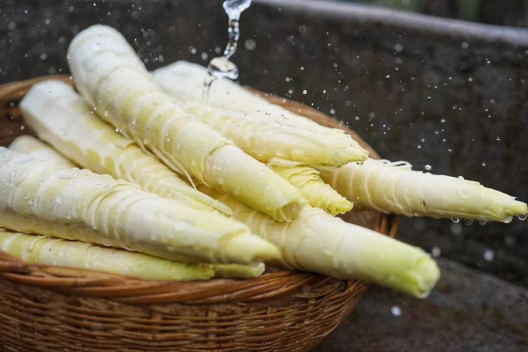 《舌尖上的中国》唯一推荐的春笋，生吃一口，三月不知肉味|舌尖上的中国|春笋|竹笋_新浪新闻