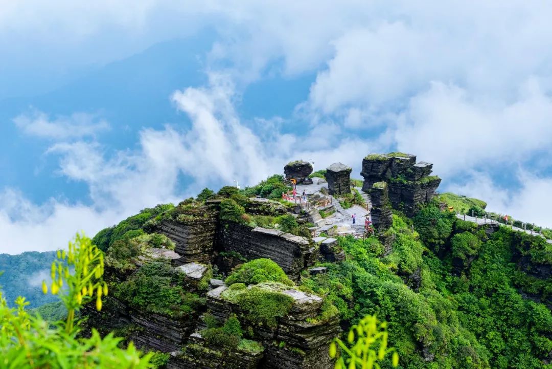 国庆旅游不知道去哪?带你走进中国第13处世界自然遗产——梵净山!