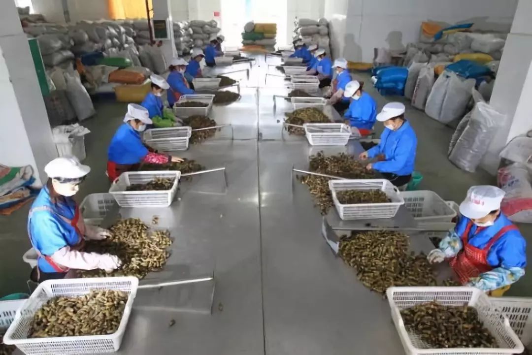 而湖南省则是槟榔深加工产业的聚集地.