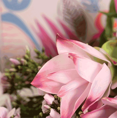 你娘收到鲜花后,引发的人生拷问|康乃馨|花盒|鲜花_新浪新闻