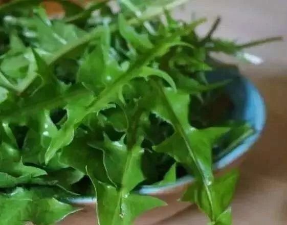 酸甜苦辣咸臭,咂摸这一口北京的味儿!