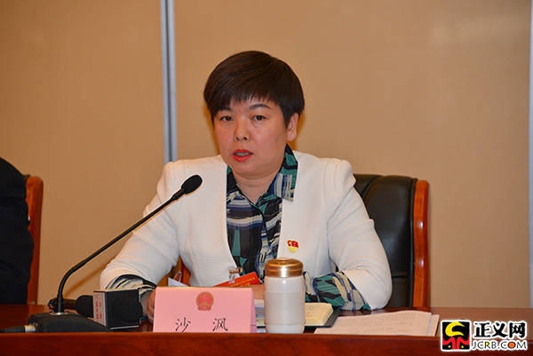 全国人大代表,青海省西宁市城西区检察院党组书记,检察长沙沨正义网