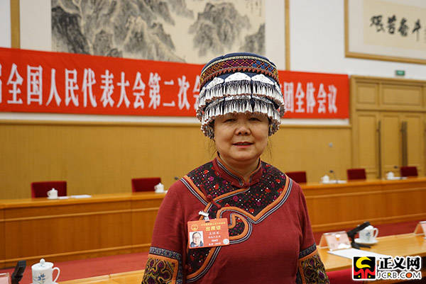 代表议最高检工作报告中提到15个案件:让正义"挺直腰杆"