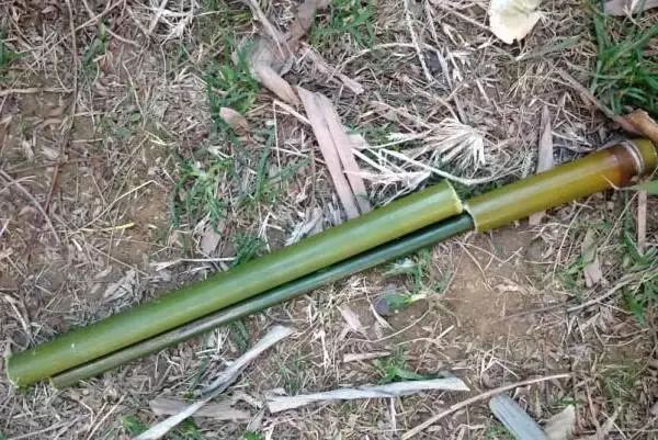 【经典】潮汕人的经典小玩具——"竹筒枪"!你玩过吗?