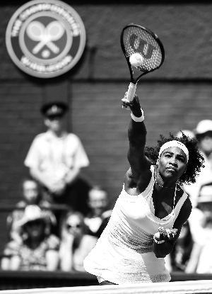 温网,在传统和未来之间