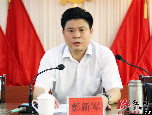 县委副书记,县长江小忠作总结讲话   红网茶陵站8月10日讯