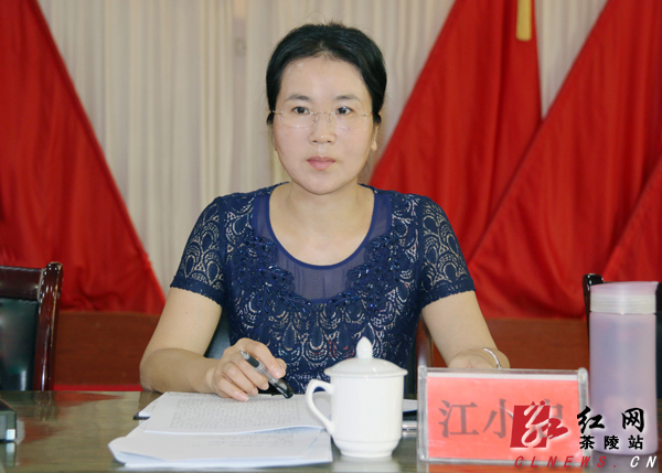 县委副书记,县长江小忠作总结讲话   红网茶陵站8月10日讯