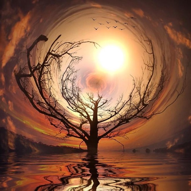 虚空中(网页截图)烈日下的向日葵丛(网页截图)仿佛绿野仙踪中的小屋