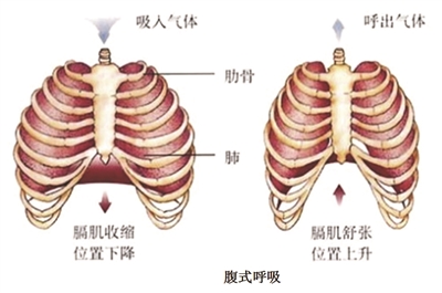 控制好呼吸运动事半功倍 手机新浪网