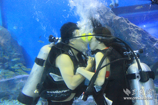 武汉海昌极地海洋世界举行第二届海底接吻大赛