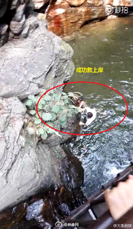 洛阳7岁男孩落水游客5米高空跳水救人后默默离开