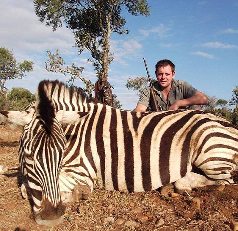 这些"战利品"中包括两只羚羊,一只斑马,一只疣猪等.