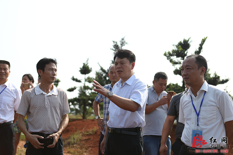 衡阳石鼓区委书记杨龙金专题调研小云山村精准扶贫