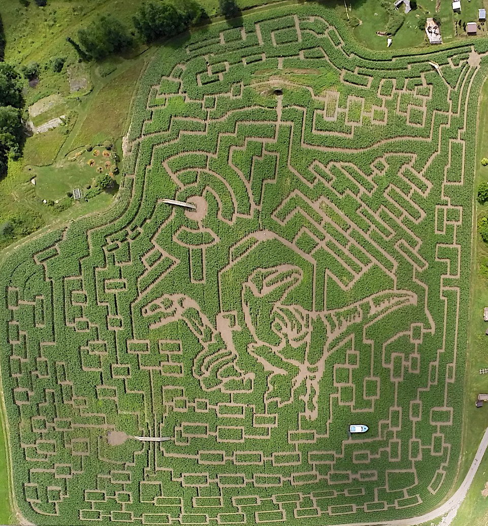 盘点世界上最不可思议的迷宫高清组图