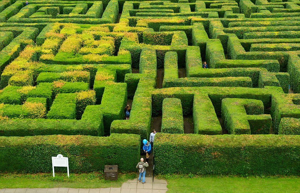 迷宫游戏在线玩