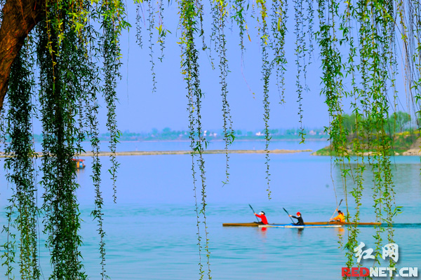 【湘江北去】常德:"特色"与"绿色"编织美丽经济