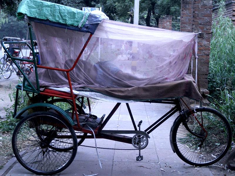 登革热肆虐新德里 三轮车夫睡蚊帐防疫蚊(组图)