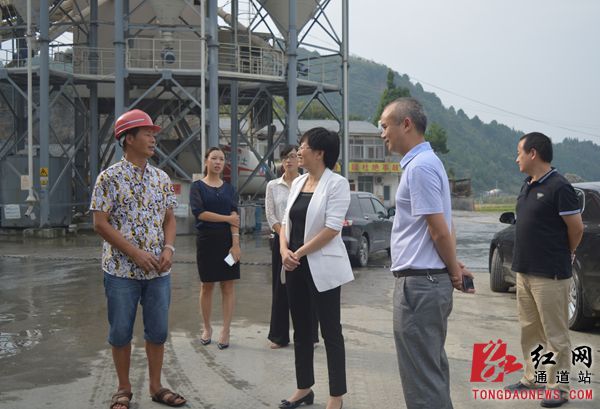 怀化市卫计委书记闻继霞一行深入通道马龙乡调研