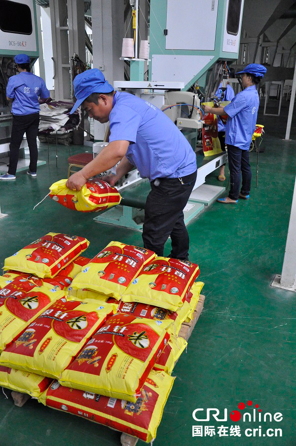 记者手记:鱼米之乡——参观湖南铭泰米业工厂(高清组图)