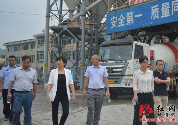 怀化市卫计委书记闻继霞一行深入通道马龙乡调研