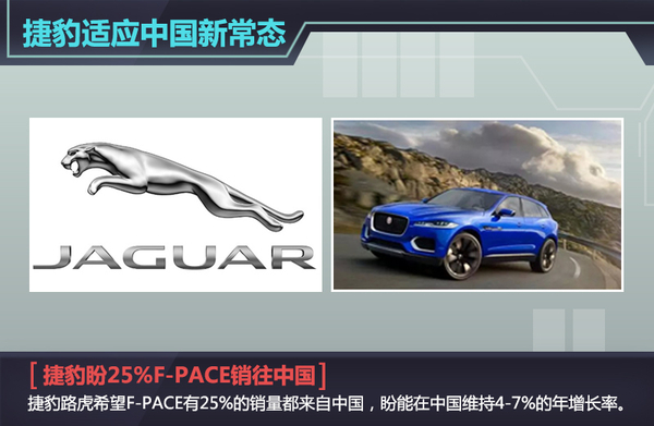 欧美10车企CEO谈中国车市 下滑中的机会
