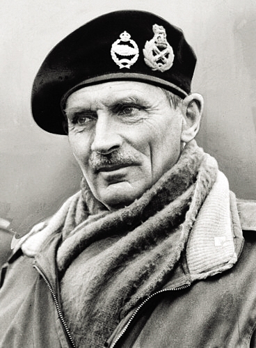 戴维所走的道路与他的父亲蒙哥马利元帅完全不同.