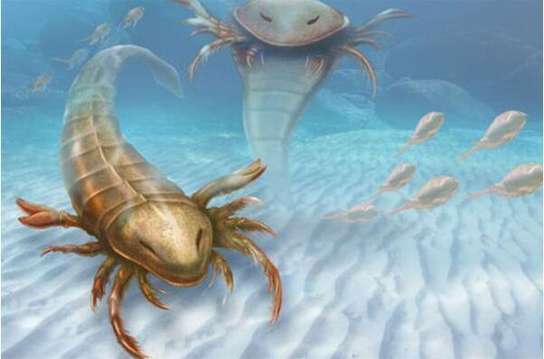 美国发现4.6亿年前最古老巨型板足鲎新物种化石