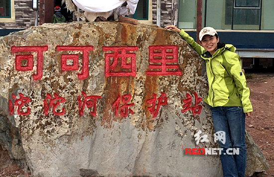 红网记者自驾西藏穿越可可西里和昆仑山无人区