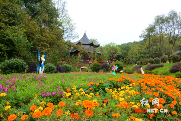 国庆长假望城光明蝶谷将现万蝶齐舞