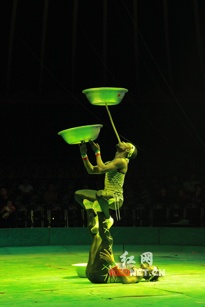 压轴出场的是森林之王老虎和狮子,看似凶猛的猛兽,也能玩转各种杂技