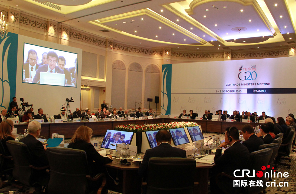 g20贸易部长会议现场