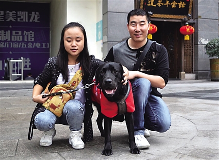 重庆首只导盲犬和主人的幸福生活