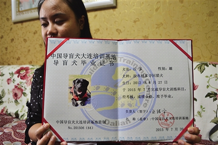 重庆首只导盲犬和主人的幸福生活