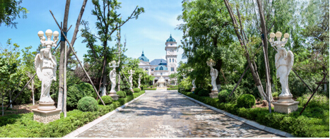 玉兔岛第二届海参捕捞文化节即将开幕