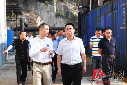 望城区领导开展"一进二访"要求妥善解决固废场问题