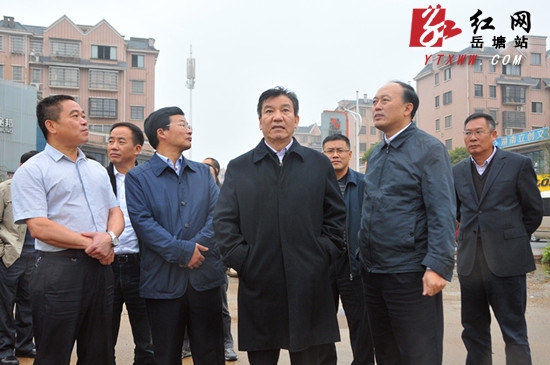湘潭市委书记,市人大常委会主任陈三新带队来到岳塘区宝塔街道云盘村