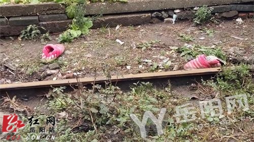 岳阳内线铁路旁惊现一具女尸疑被火车撞成两段