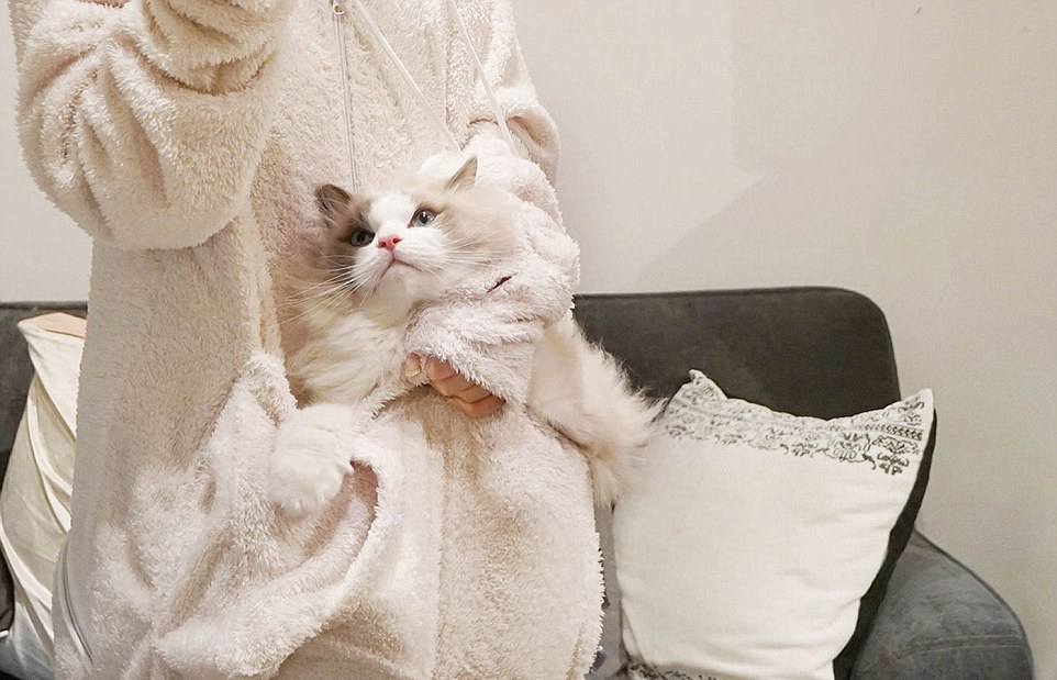 日本可爱猫咪装成潮流新宠英媒称其时尚灾难组图