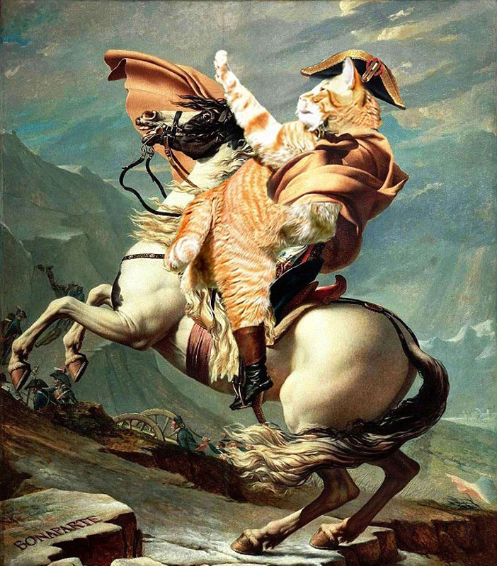 拿破仑搞笑图图片