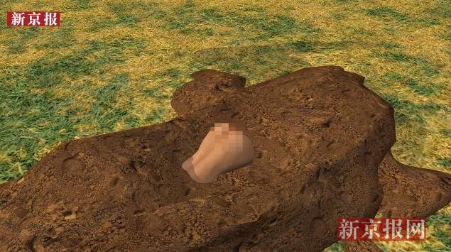 田间现跪姿状赤裸女尸3d揭秘谁是凶手