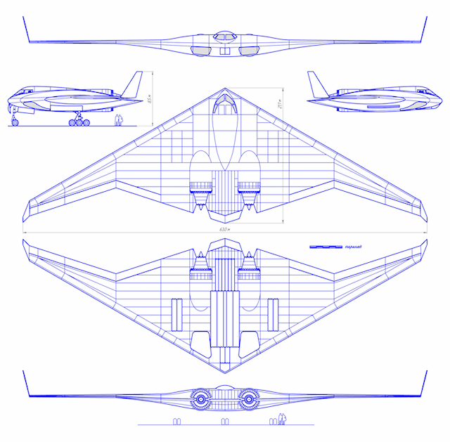 兵集群达到旅级规模,主要作战力量是约48架固定翼机和20余架直升机