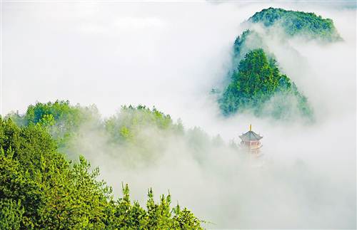 这是日前拍摄的酉阳金银山晨雾.