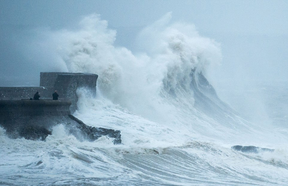 武装风暴txt下载