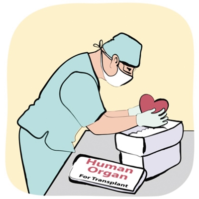 "器官捐献与移植"摘得中国医学"诺贝尔奖"|交通事故|资源|中国_新浪新