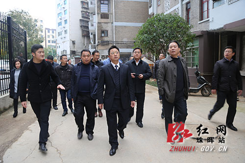 珠晖区委书记刘诗真调度部分社区提质改造工作