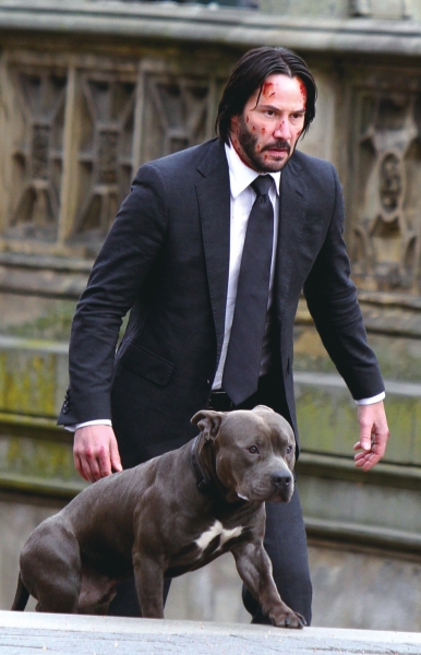 京华时报综合消息由基努·里维斯主演的《疾速追杀2》日前正式开拍.